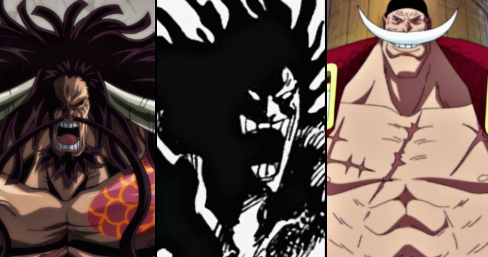 One Piece: All Members of The Rocks Pirates, Ranked