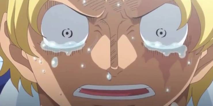 One Piece Sabo Full Name One Piece Sabo Full Name
