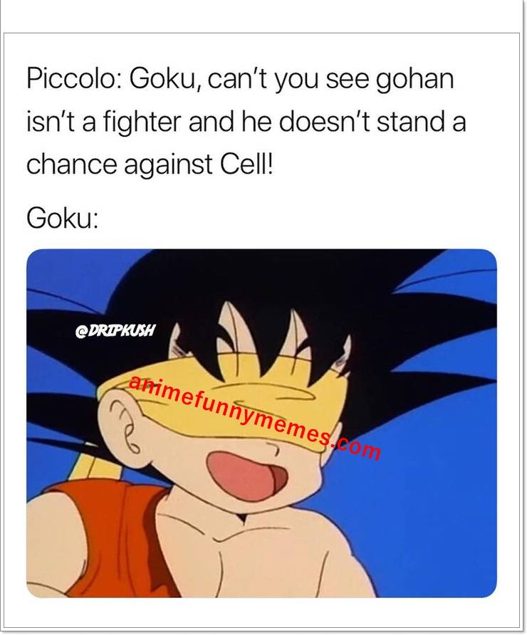 Gohan isnt a fighter