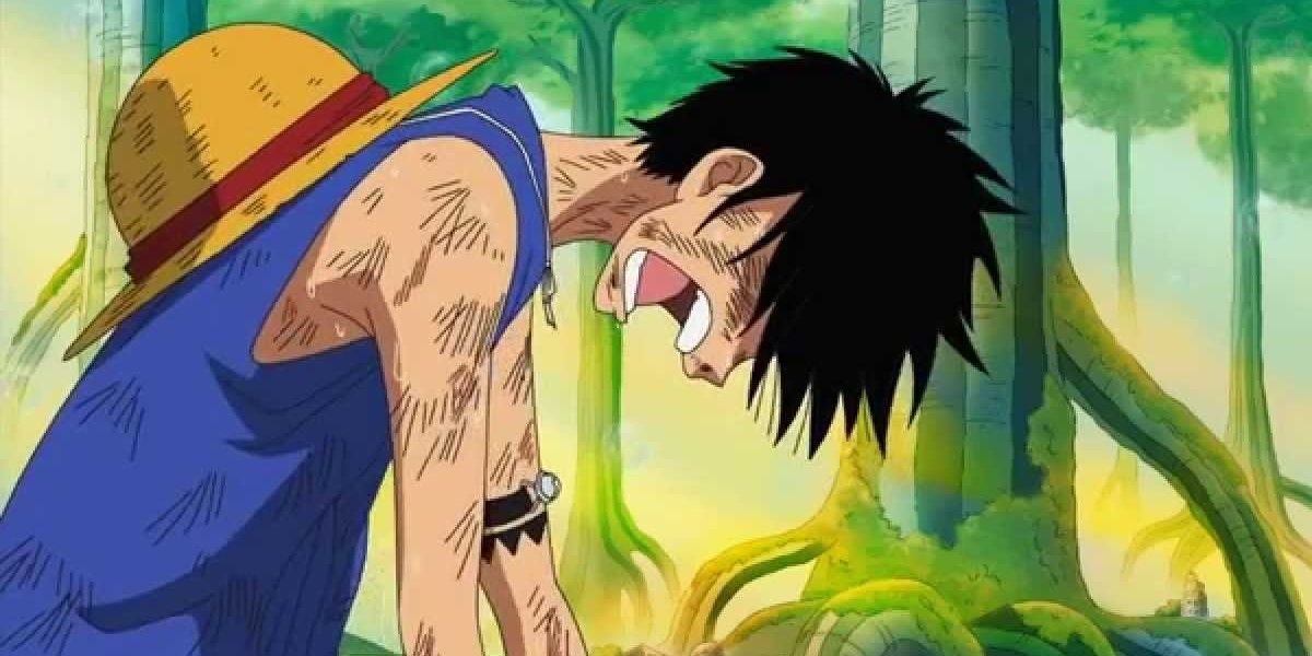 One Piece: The 10 Best Episodes Of The Sabaody Archipelago Arc ...