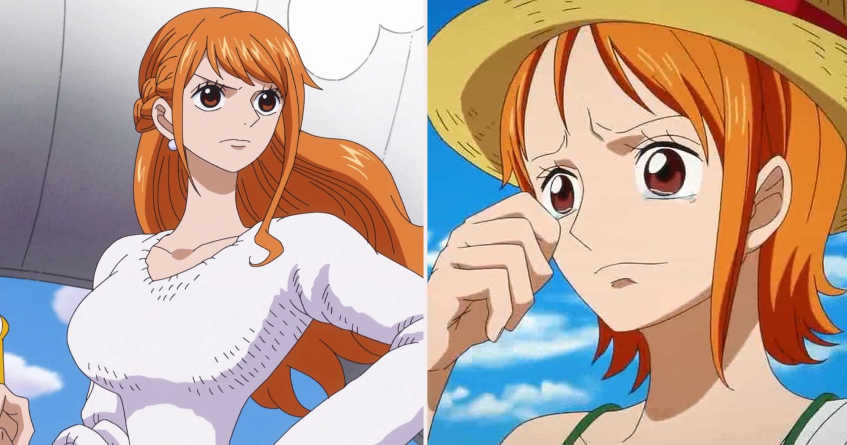 One Piece Nami Everything You Need to Know - But Why Tho?