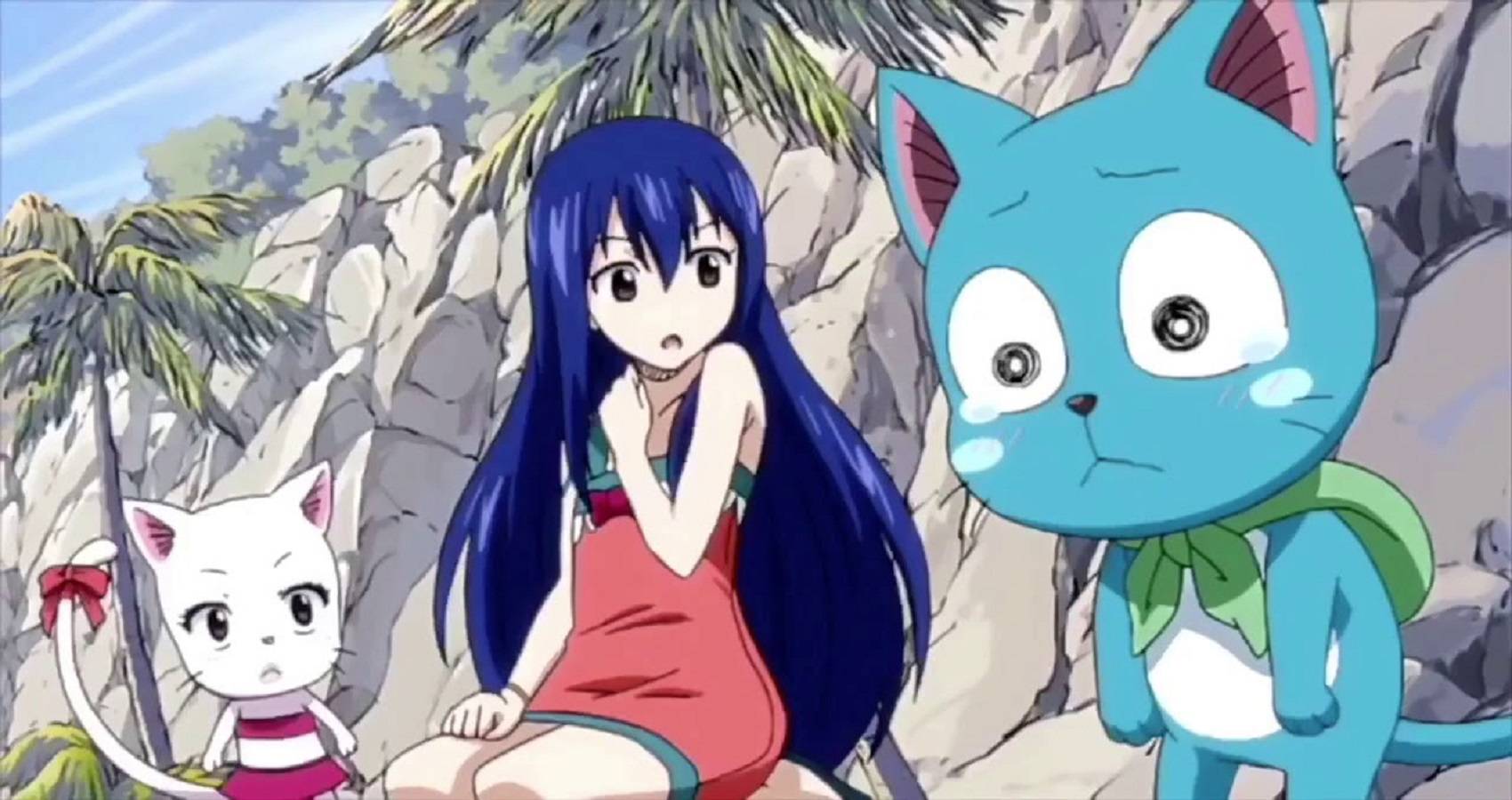 Fairy tail wendy marvell