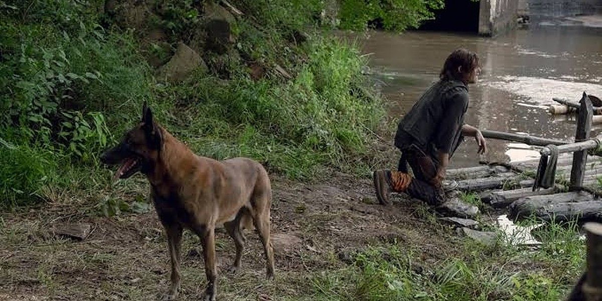 The Walking Dead 10 Future Storylines That Daryl Can Have