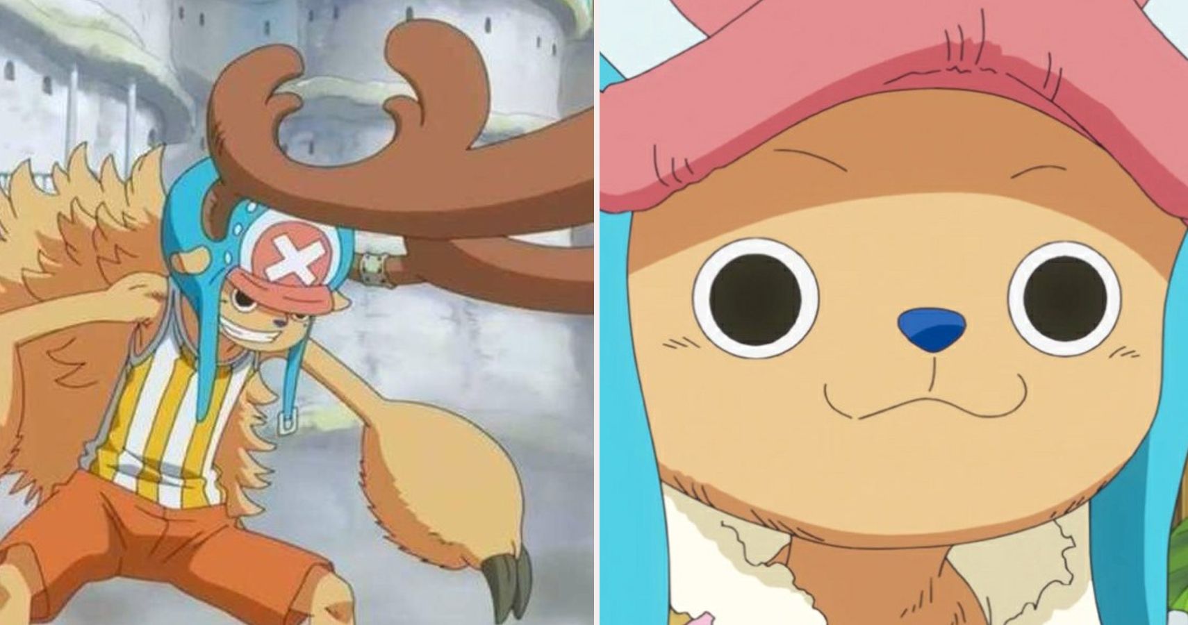 Anime Lover — Facts & Trivia About Tony Tony Chopper