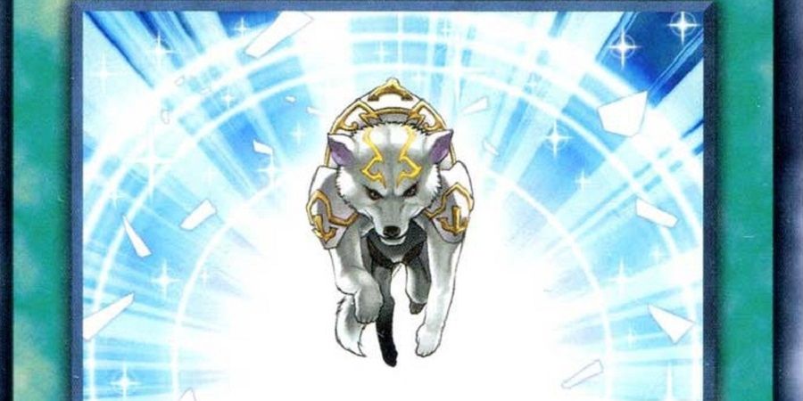 Yu-Gi-Oh: Best Lightsworn Cards