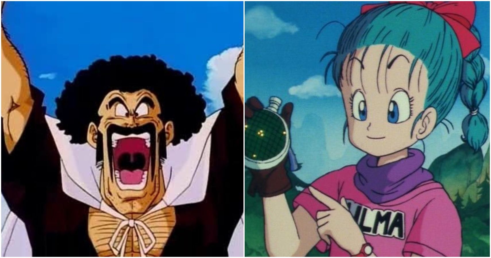 Dragon Ball 5 Characters Every Fan Loves 5 That Get Too Much Hate