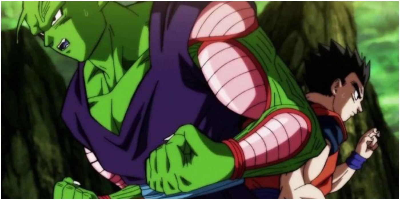 Anime Gohan and Piccolo During the Tournament of Power
