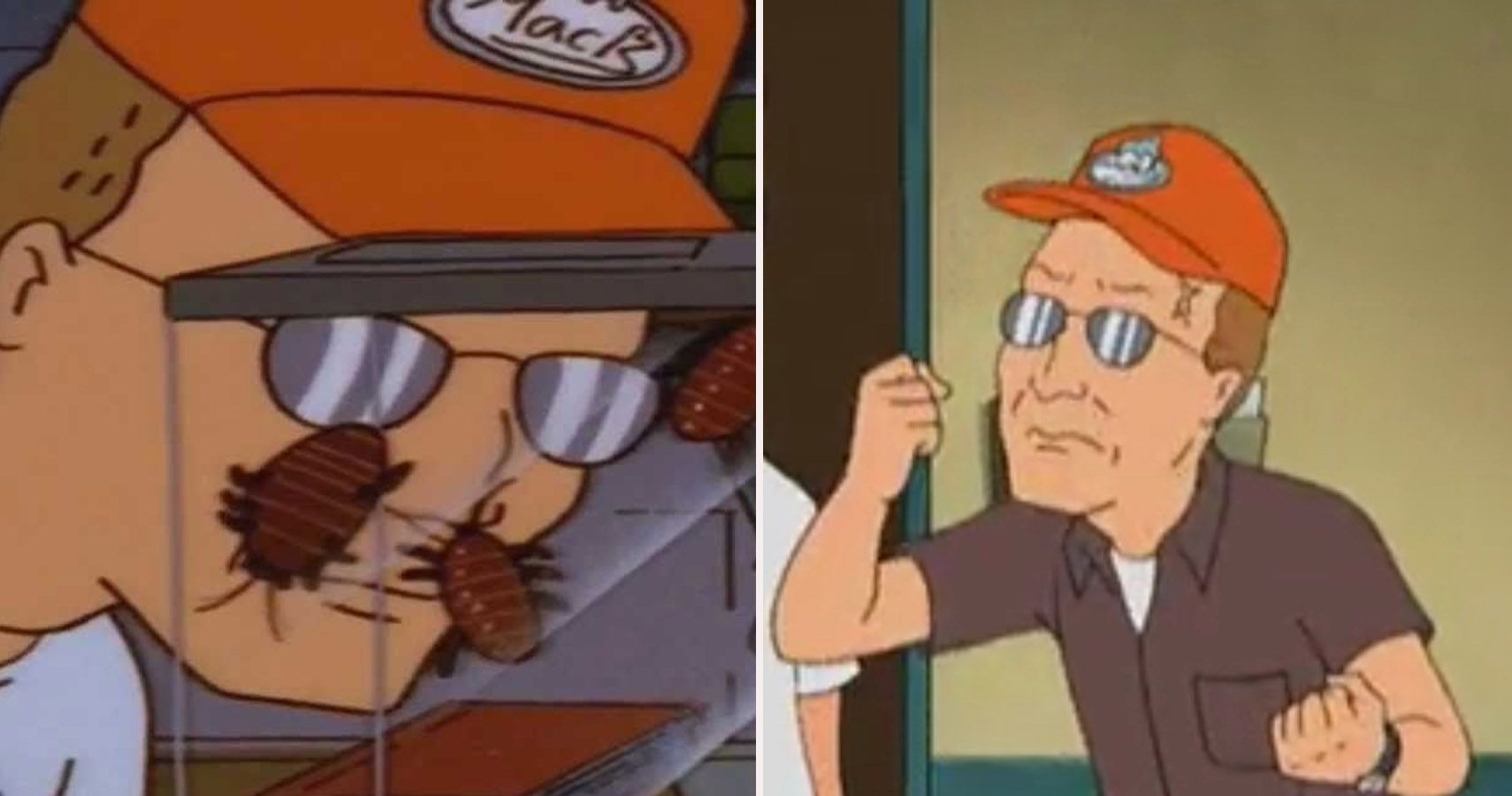 dale gribble meme