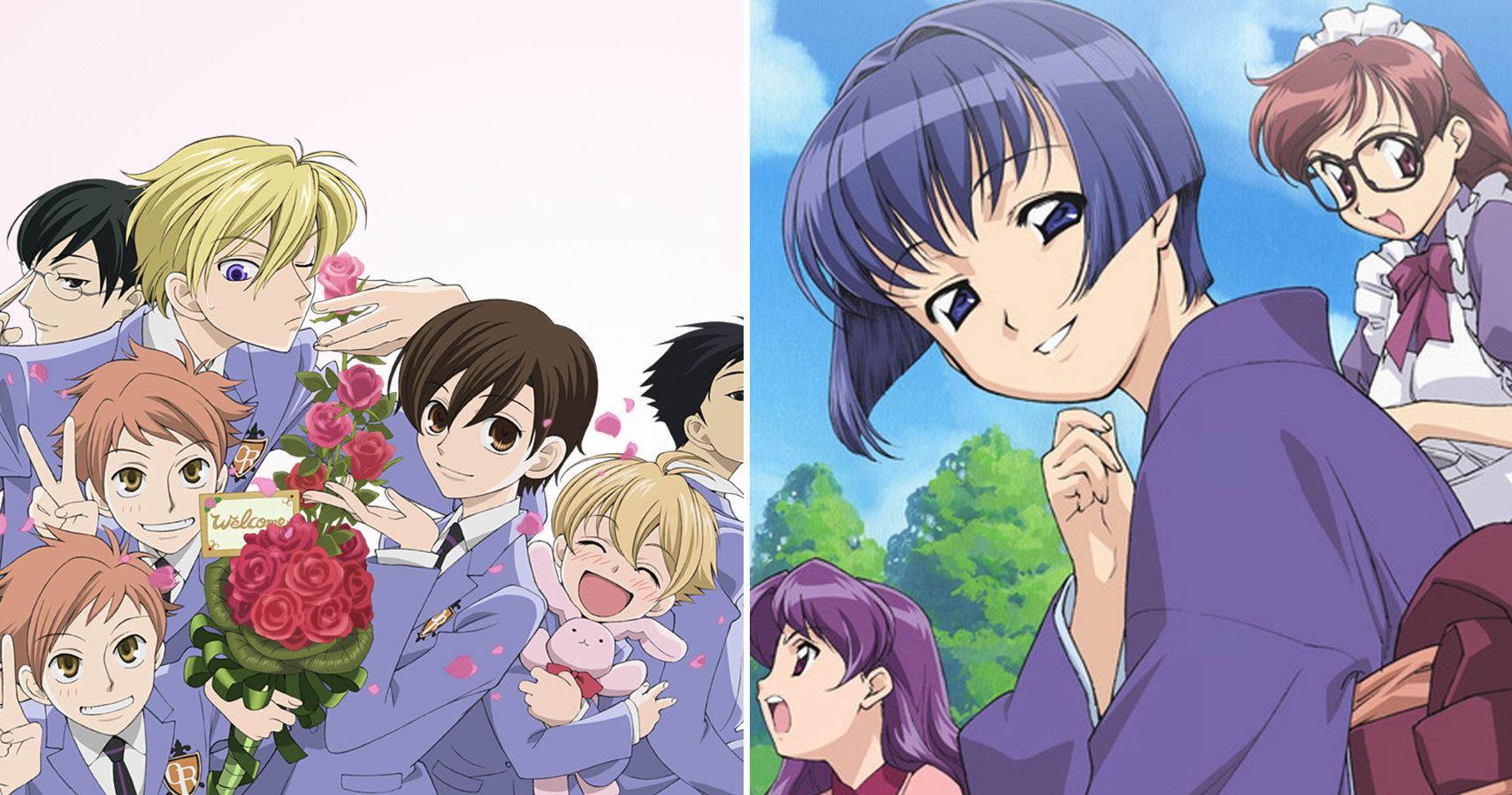 The 10 Best Harem Anime of The 2000s, Ranked According To IMDb