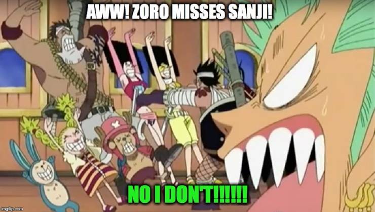 One Piece 10 Roronoa Zoro Memes Only True Fans Will Understand
