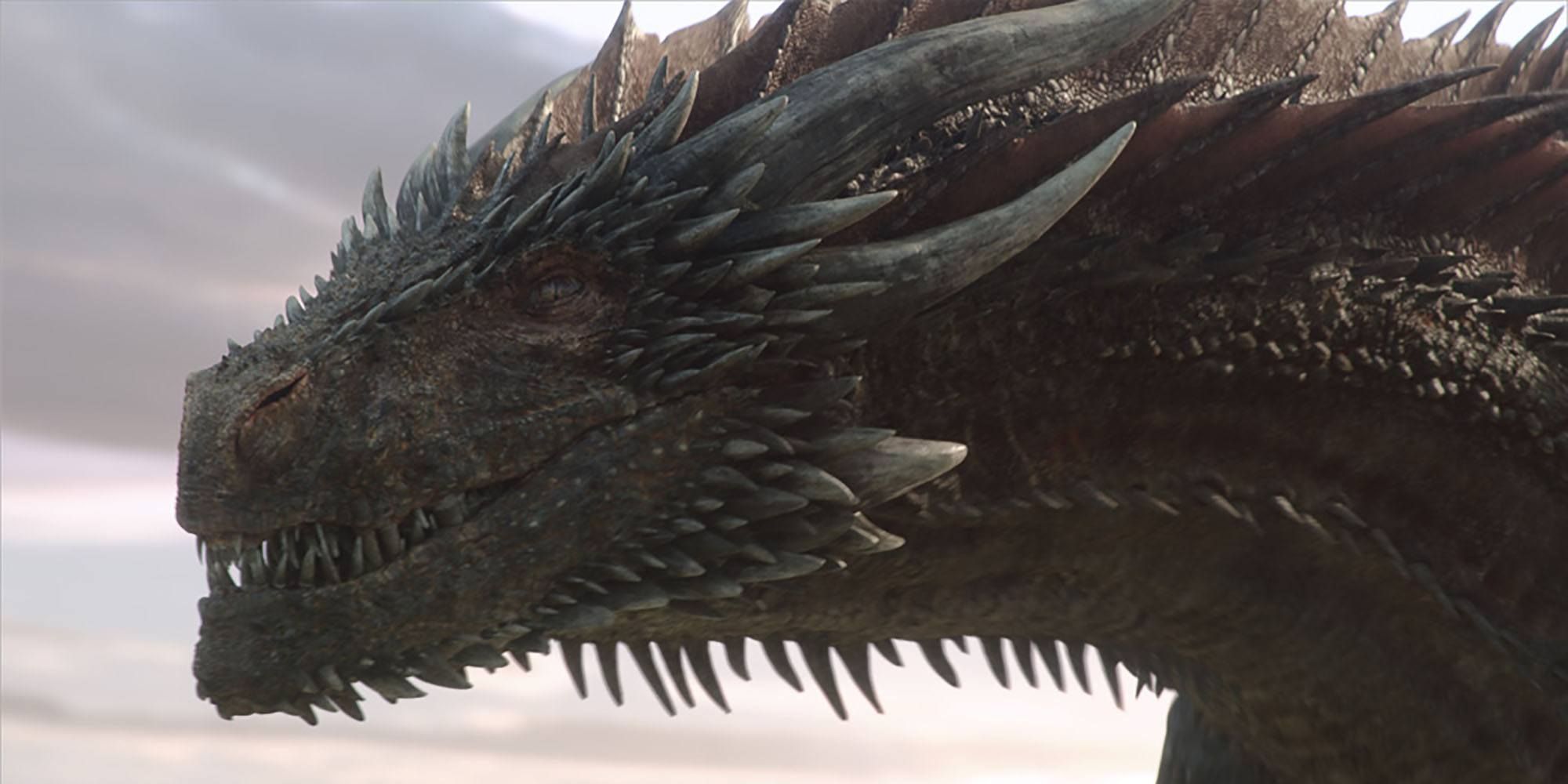 Montaña Kilauea financiero ambulancia Game of Thrones' Mightiest Dragon Wasn't Drogon