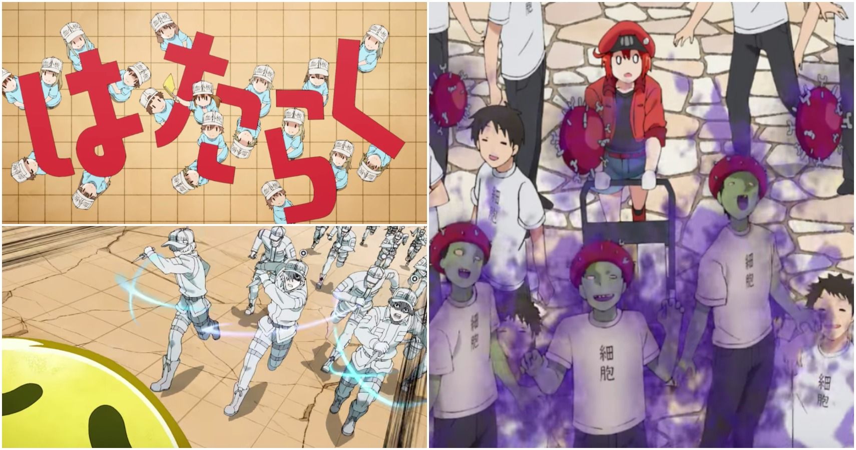 CELLS AT WORK! COM UMA MÉDICA, ANIME vs VIDA REAL