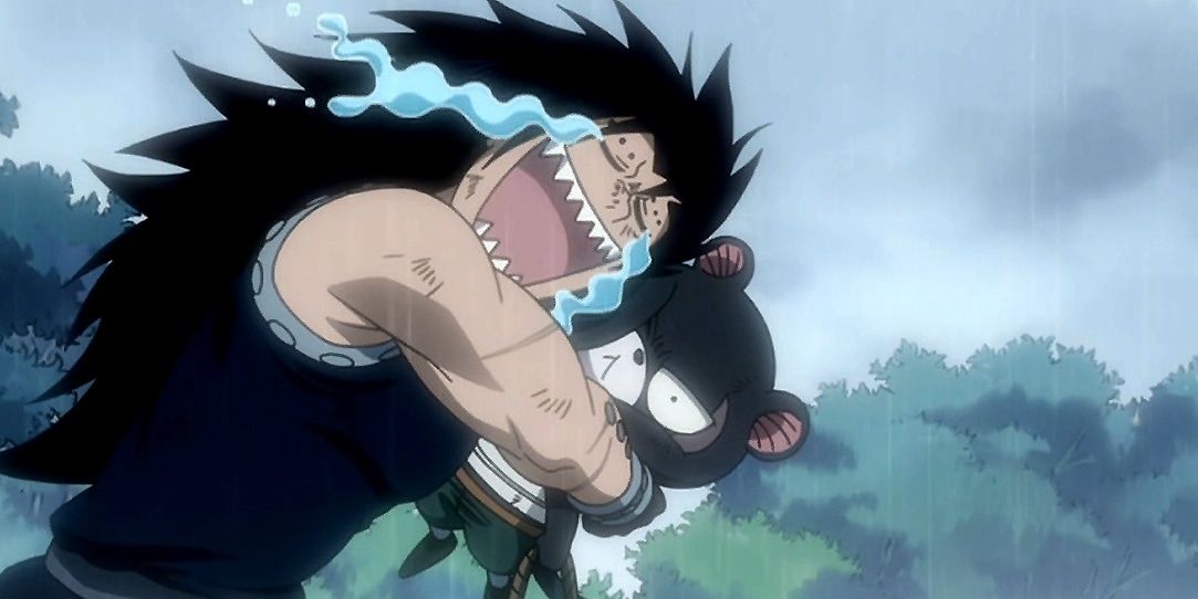 Gajeel and Panther Lily
