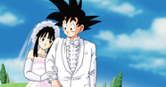 Dragon Ball 10 Things About Chi Chi That Make No Sense