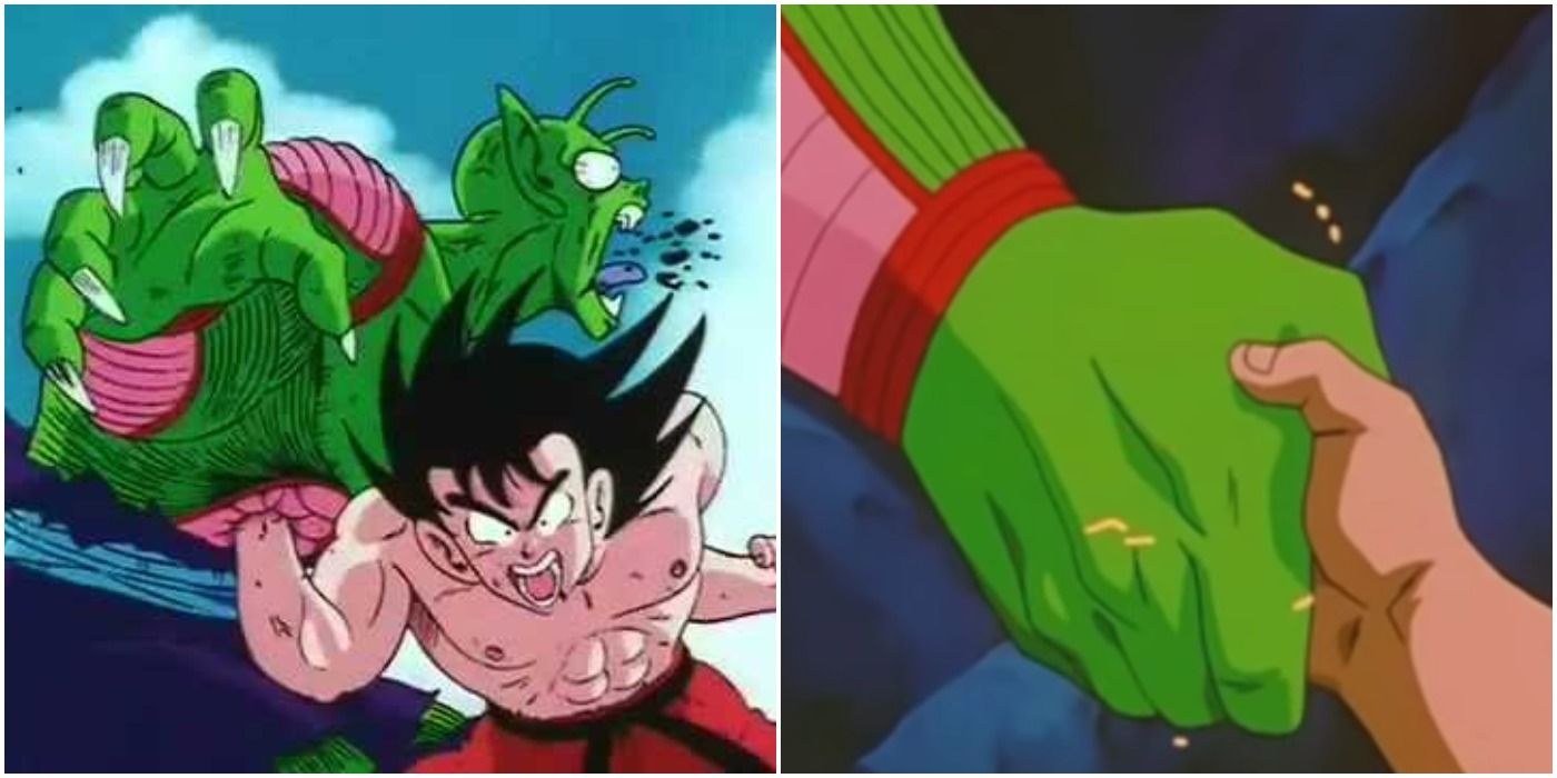 Goku and Piccolo Rough Relationship History
