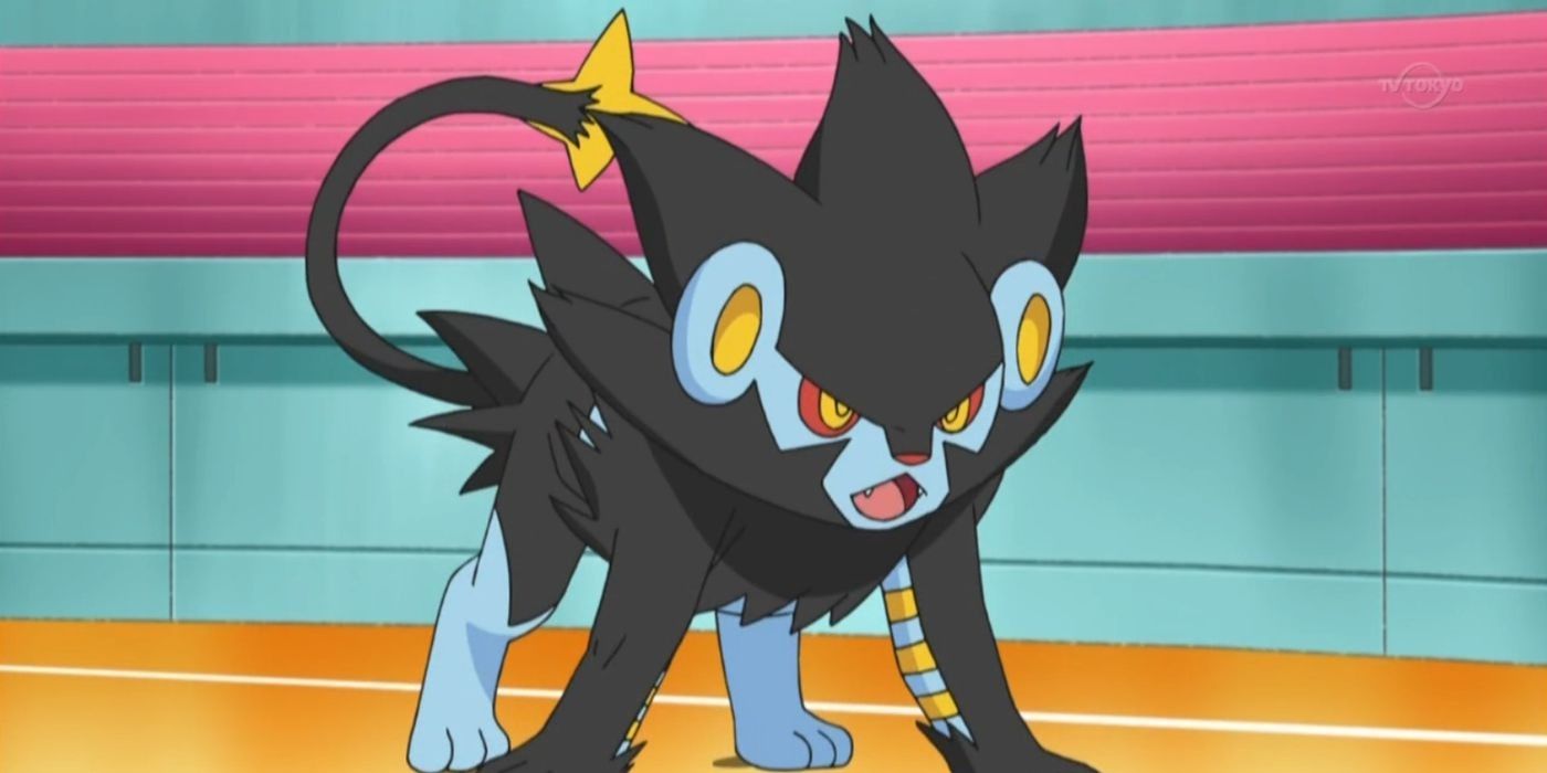 Luxray gets ready for battle in Pokemon anime
