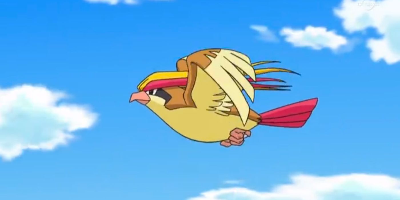 Pidgeot flying in the Pokemon anime