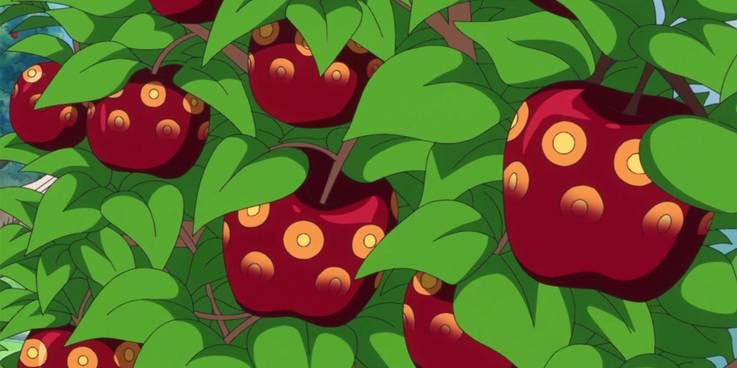 What Is The One Piece 10 Hilarious Or Convincing Fan Theories What Is The One Piece 10 Hilarious Or Convincing Fan Theories