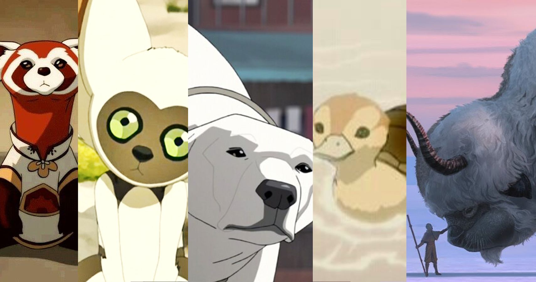 Animals from the world of Avatar  rTheLastAirbender