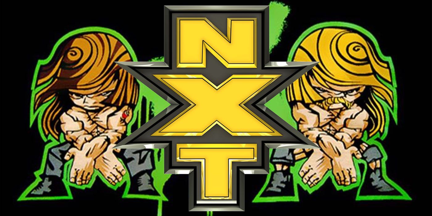 WWE: Triple H Picks 3 NXT Stars for a New DX (But Shawn Michaels Disagrees)