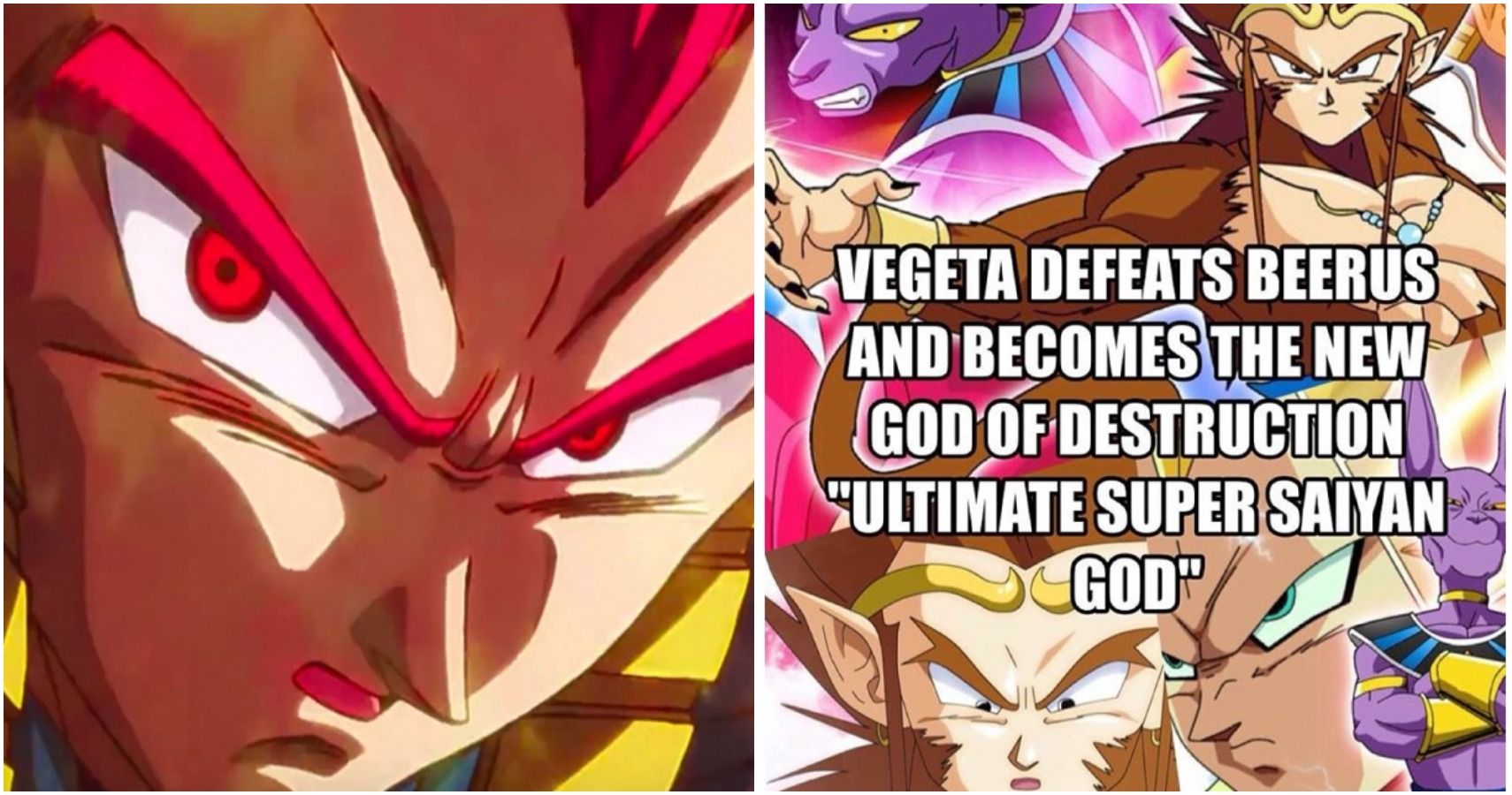 10 Super Saiyan God Vegeta Memes Only Dragon Ball Super Fans Understand