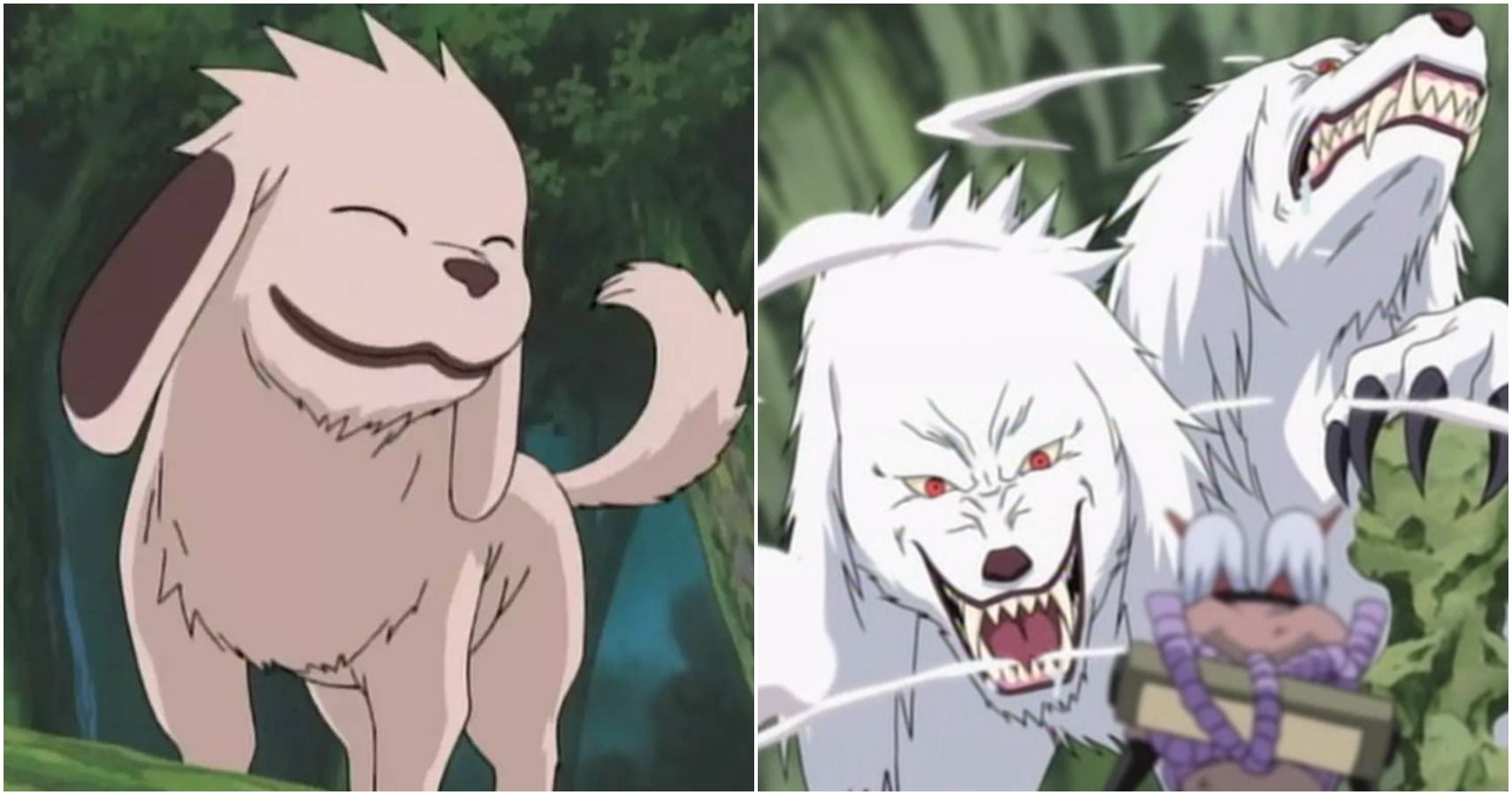 10 Adorable Anime Creatures That Are Secretly Horrifying Cbr