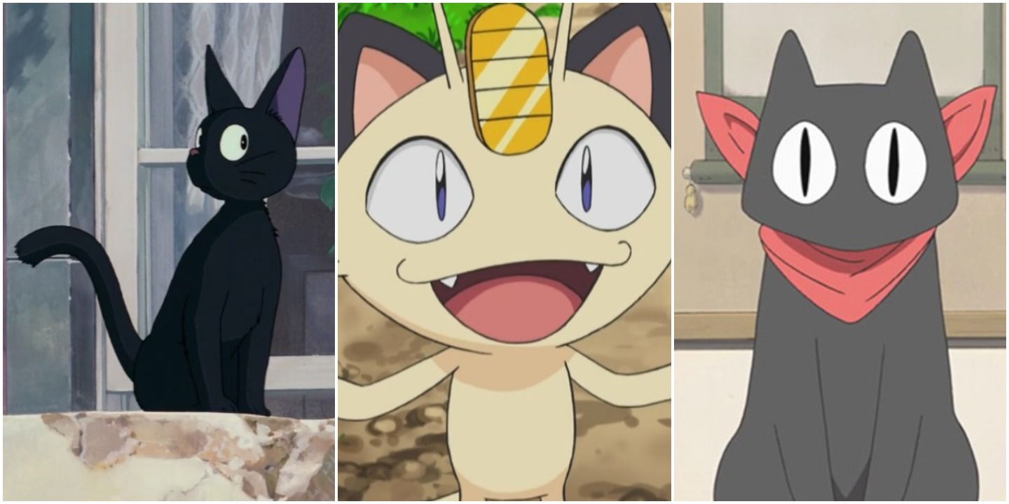 15 Most Memorable Anime Cats
