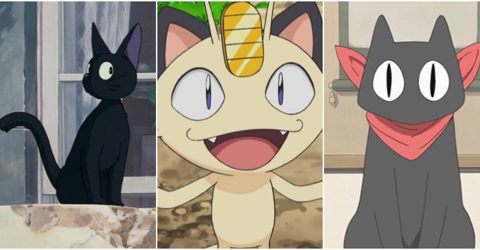 15 Most Memorable Anime Cats Cbr