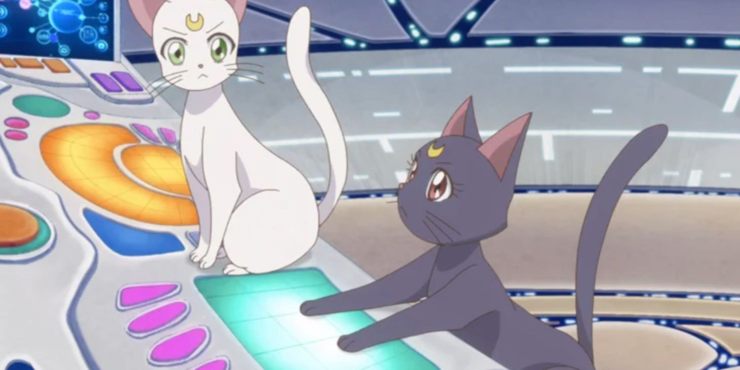 Artemis And Luna In The Command Center In Sailor Moon Crystal