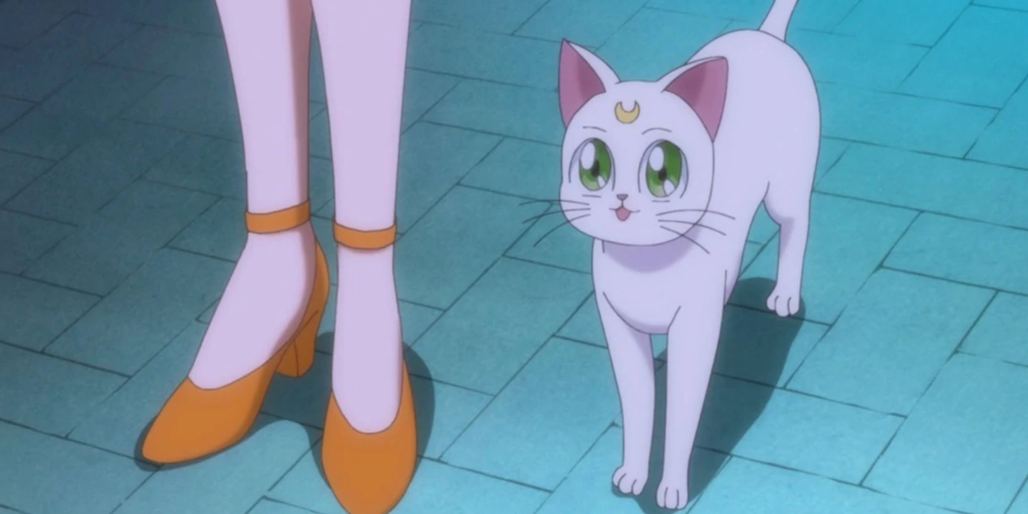 Artemis At The Feet Of Sailor Venus In Sailor Moon Crystal