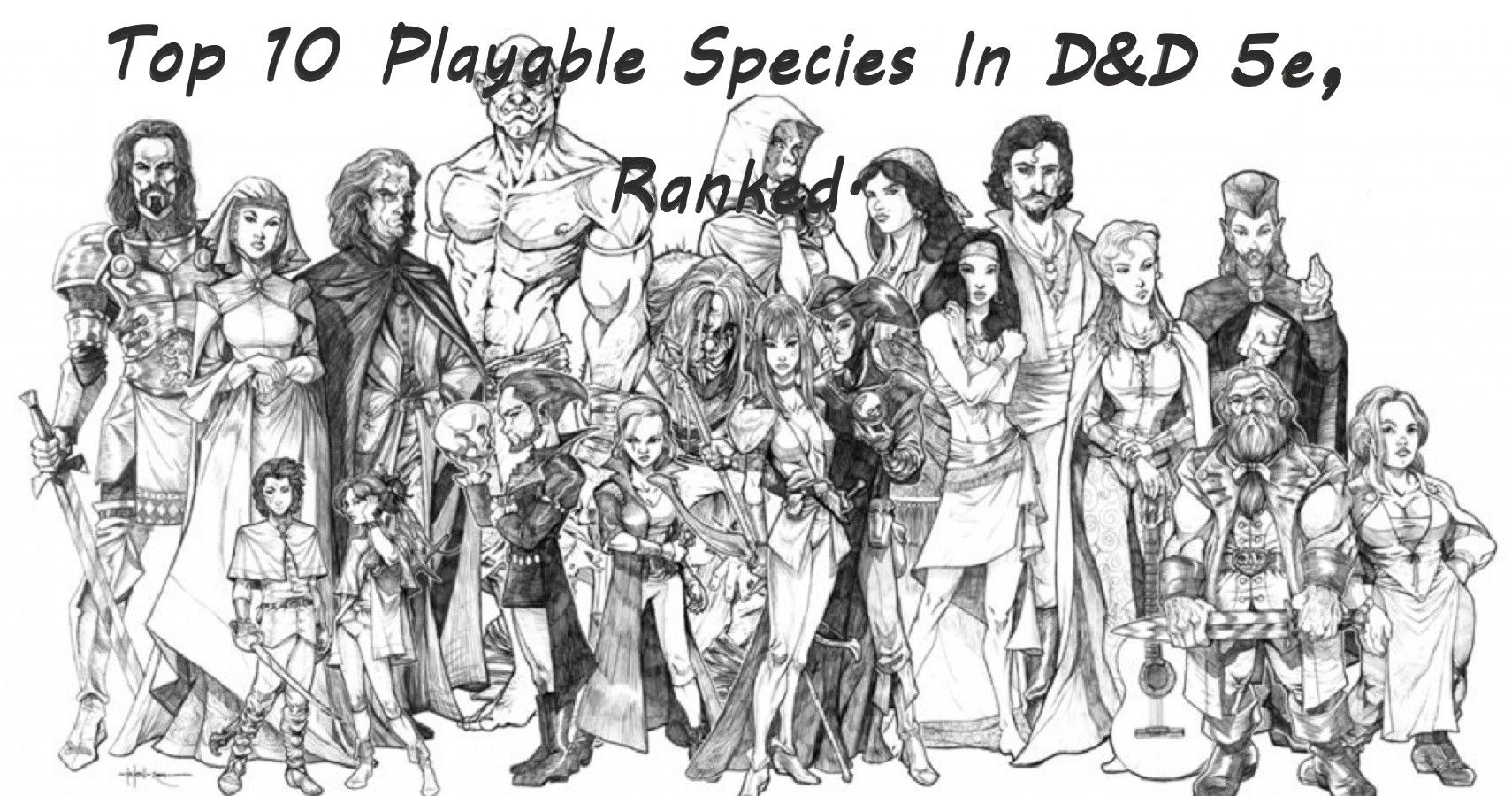 DnD races and species guide