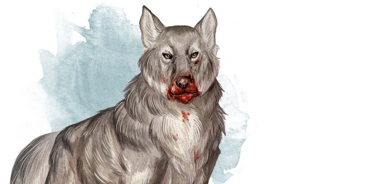 Dire wolf with bloody snout