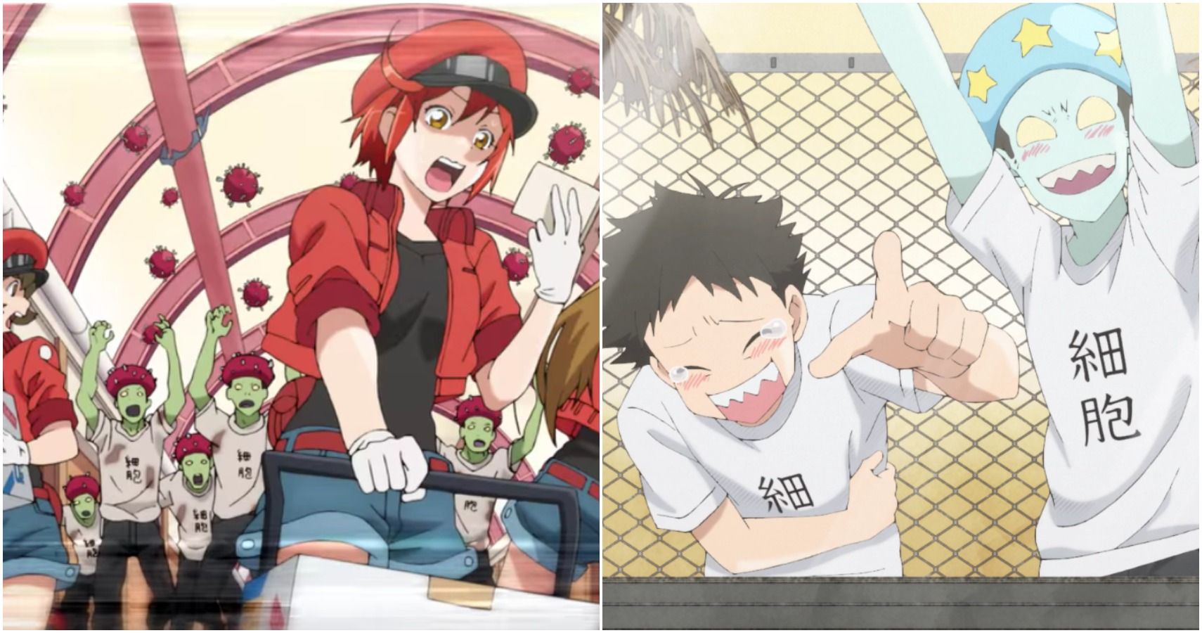 Characters appearing in Cells at Work! Anime