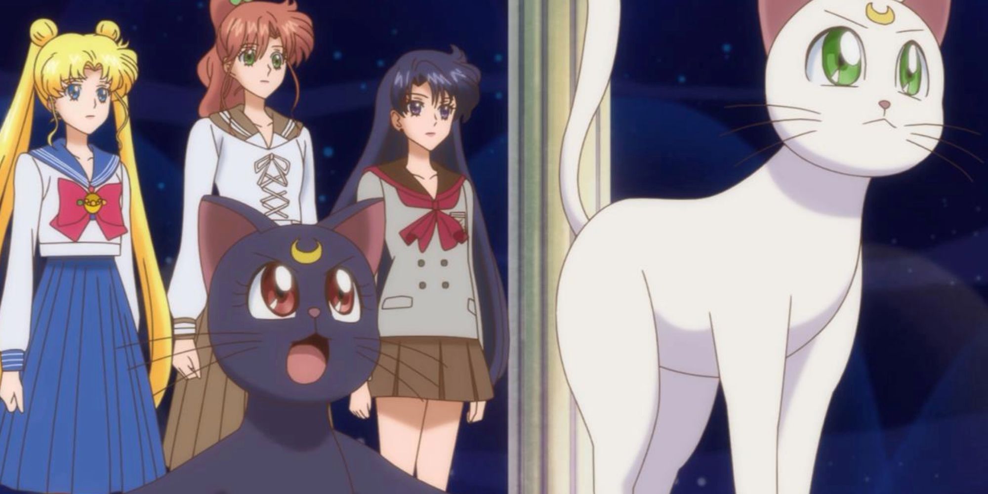 Luna And Artemis In The Control Center With The Sailor Senshi In Sailor Moon Crystal