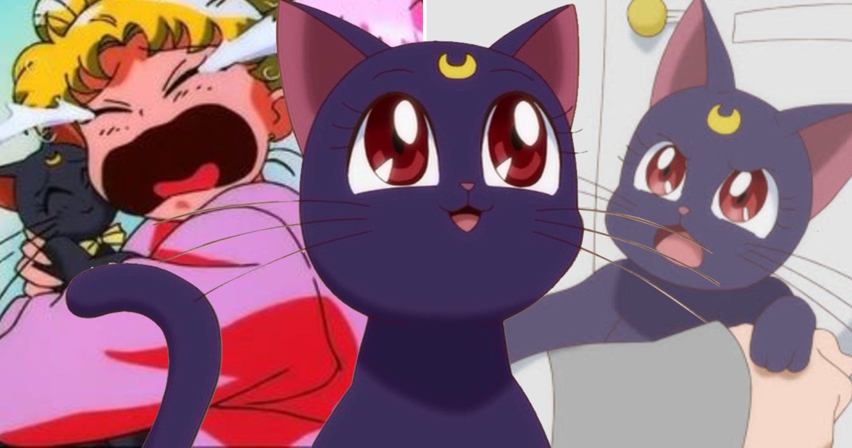 Sailor Moon 10 Questions About Luna Answered Cbr With tenor, maker of gif keyboard, add popular sailormoon cat animated gifs to your conversations. sailor moon 10 questions about luna