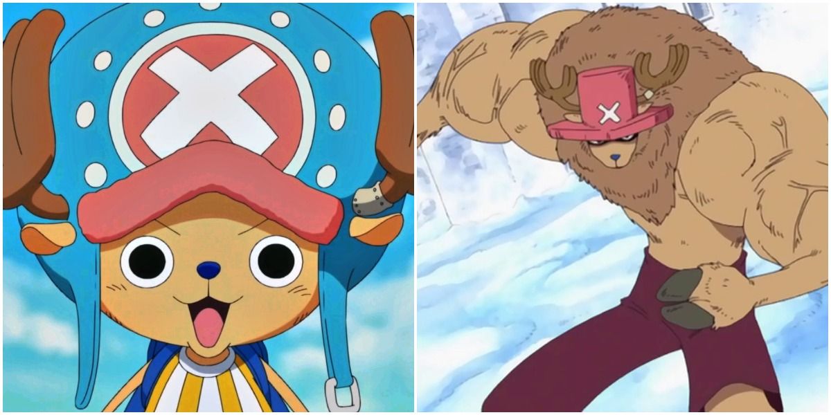 One Piece: 5 Devil Fruit Powers People Shouldn’t Want but Do