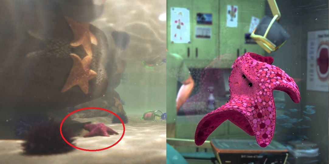 Finding Dory: 10 Hidden Details About The Marine Life Institute