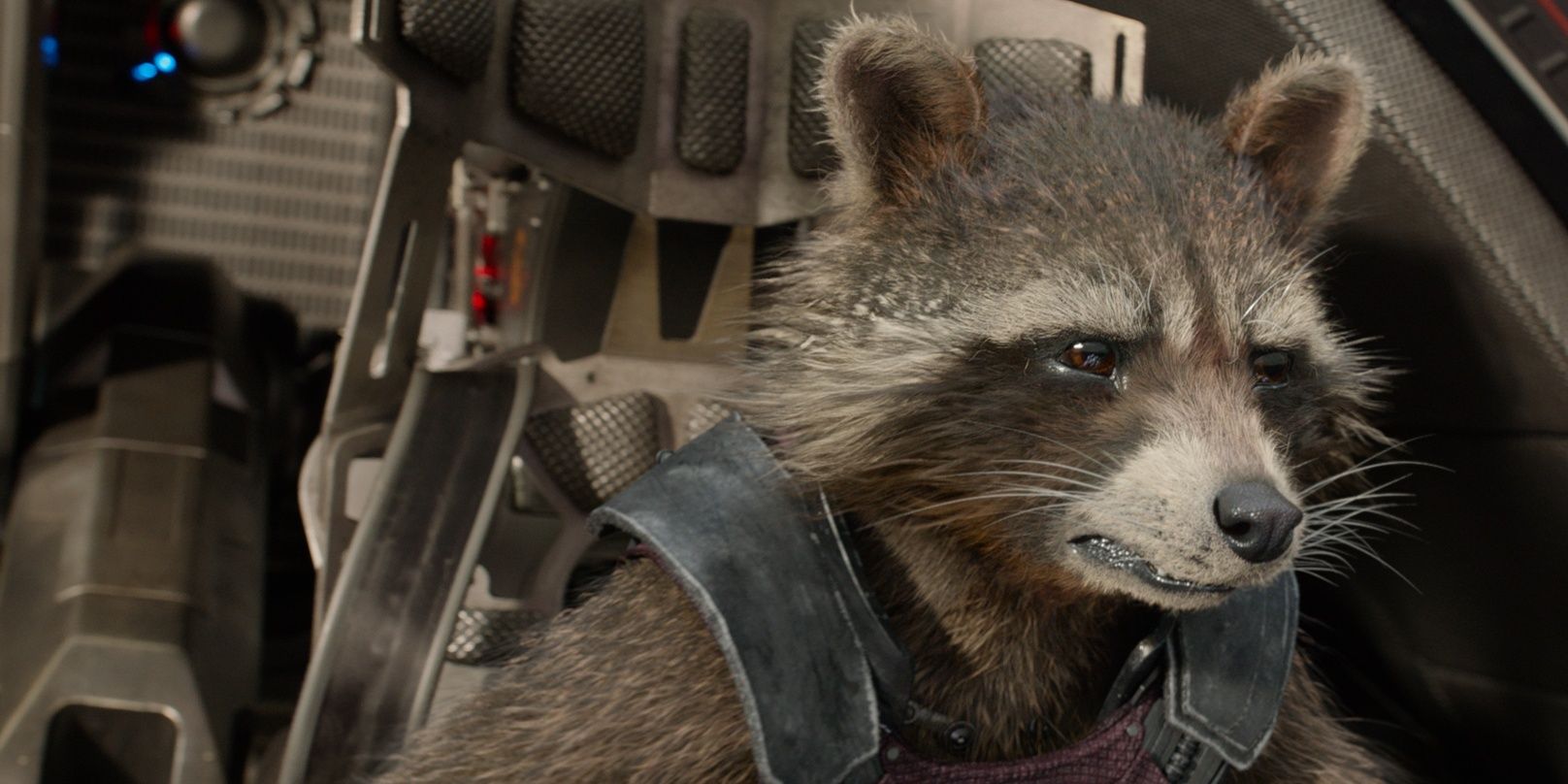 5 Things About Rocket Raccoon The MCU Changed (& 5 They Kept The Same)