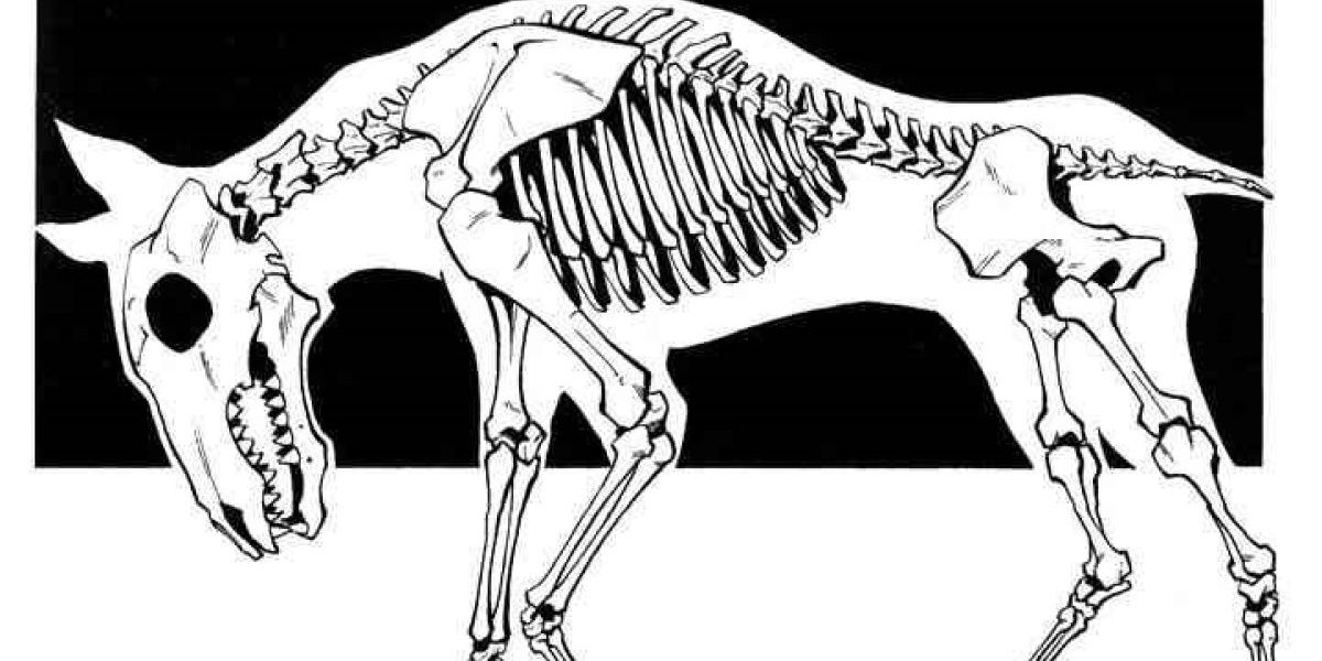 Shaman King The 5 Best & 5 Worst Guardian Ghosts