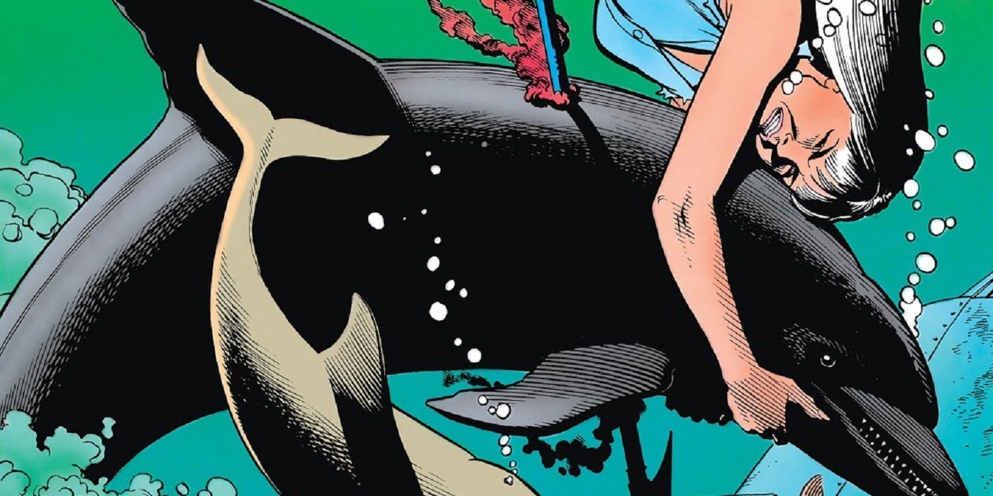 animal man and dolphin cover