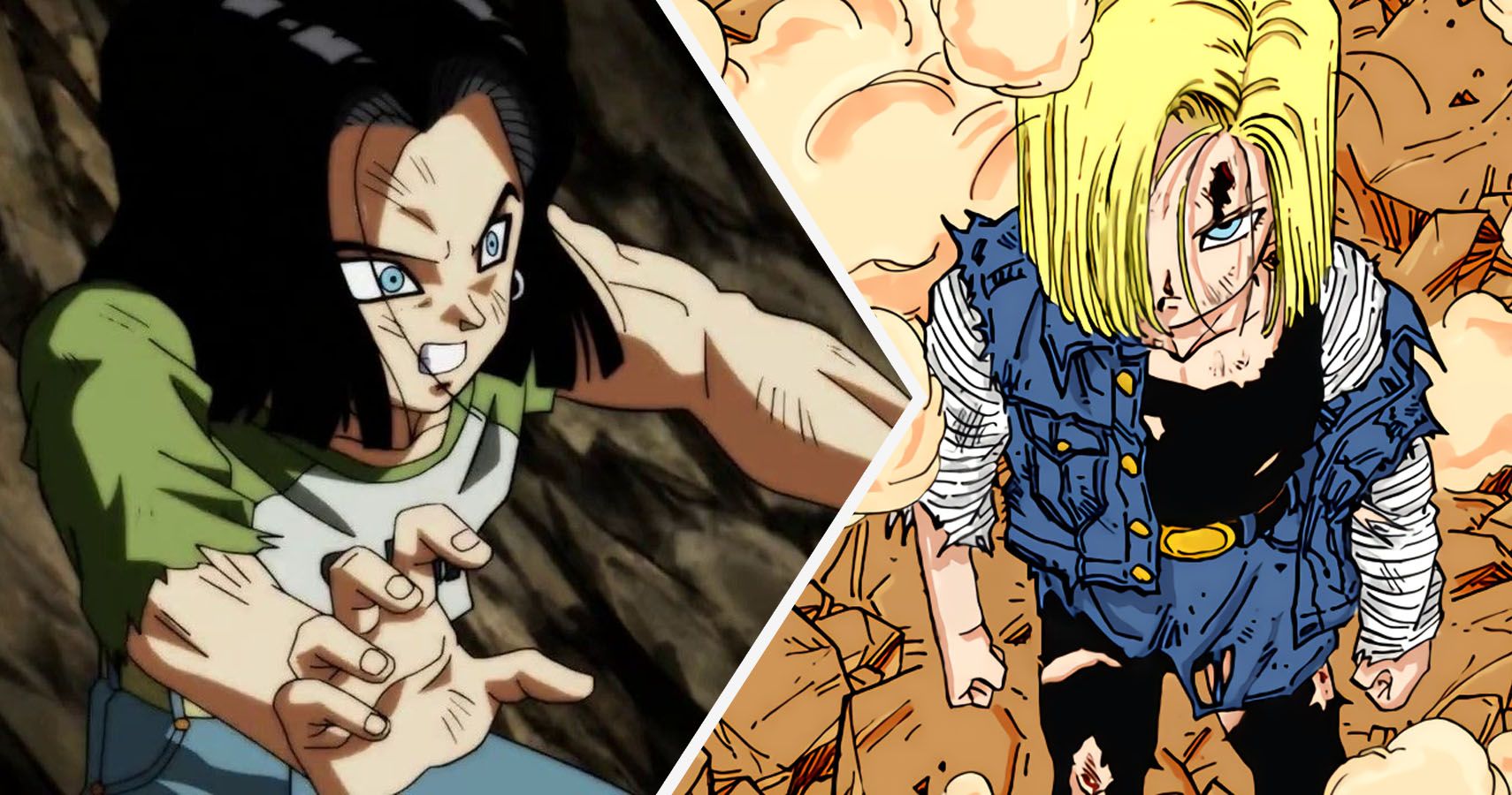 15 Facts About Android 17 from Dragon Ball, Another Surviving