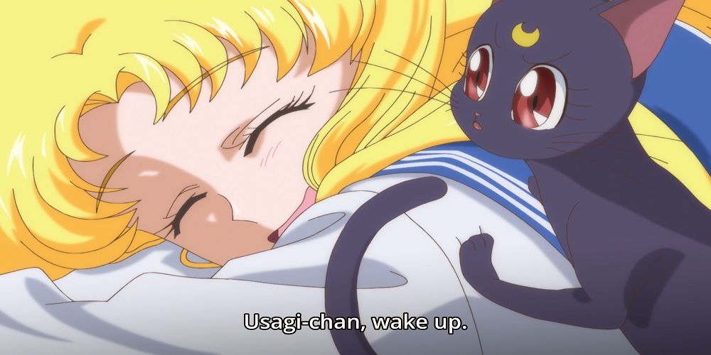 Usagi from Sailor Moon sleeping, Luna beside her