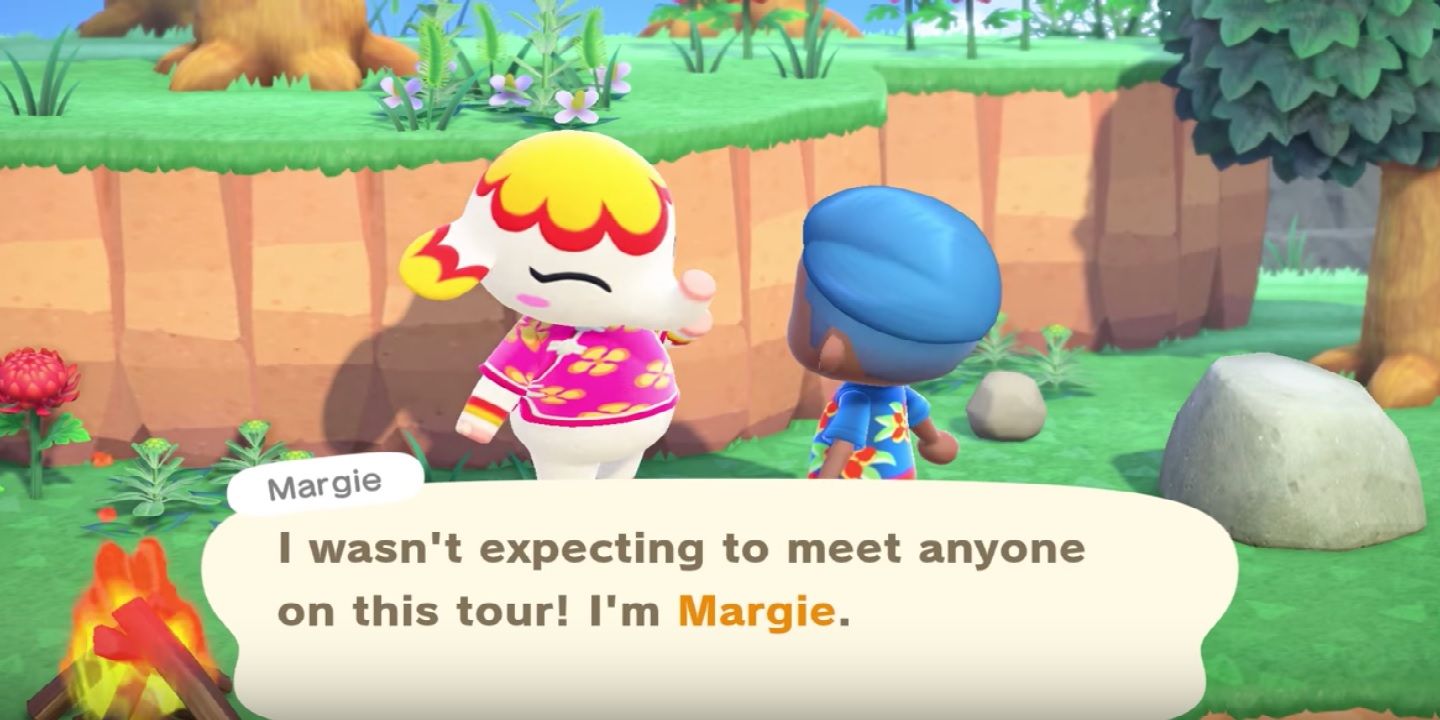 27 Surprising Tips to Master 'Animal Crossing: New Horizons