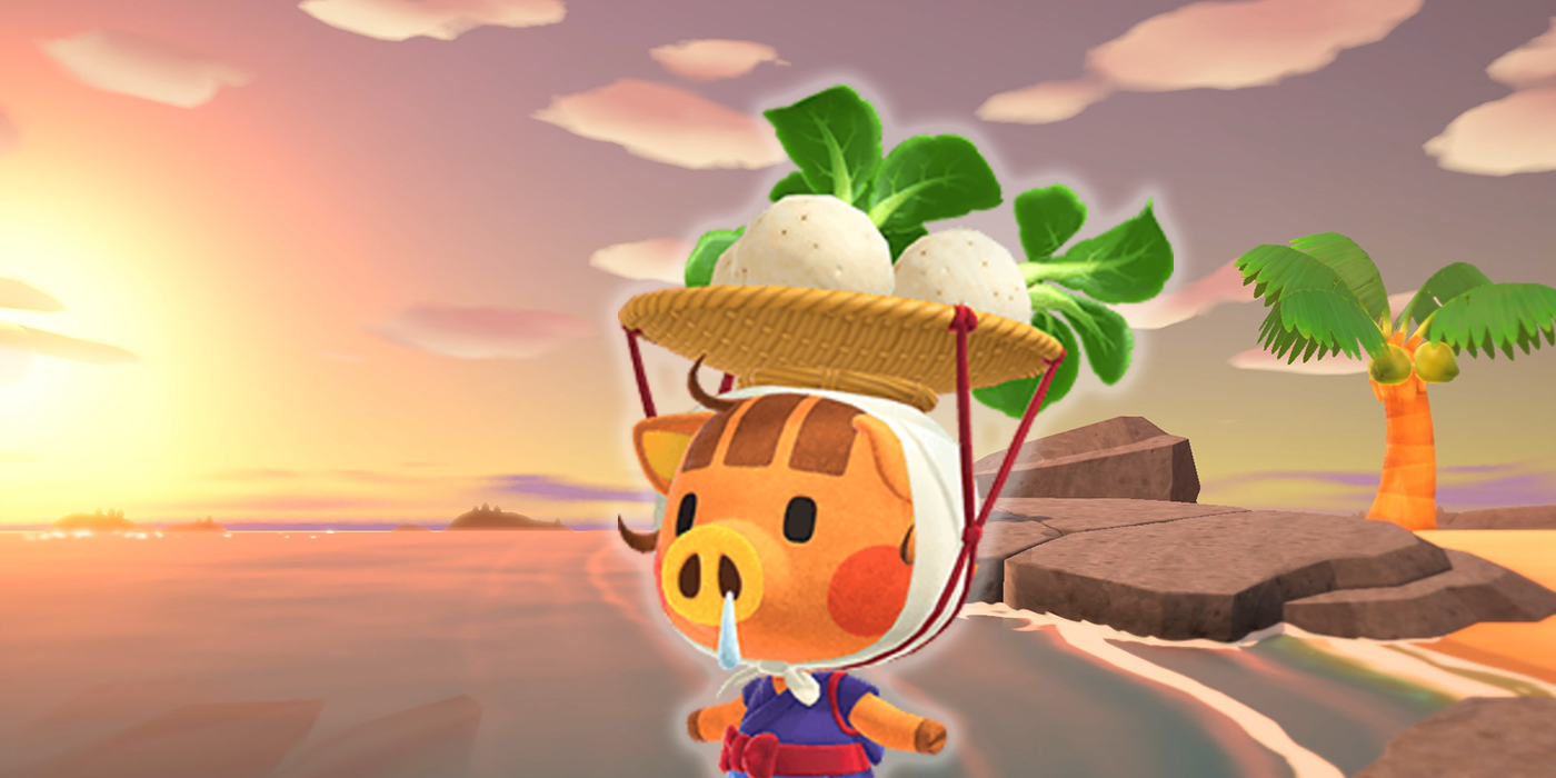 Daisy Mae sells turnips in Animal Crossing: New Horizons