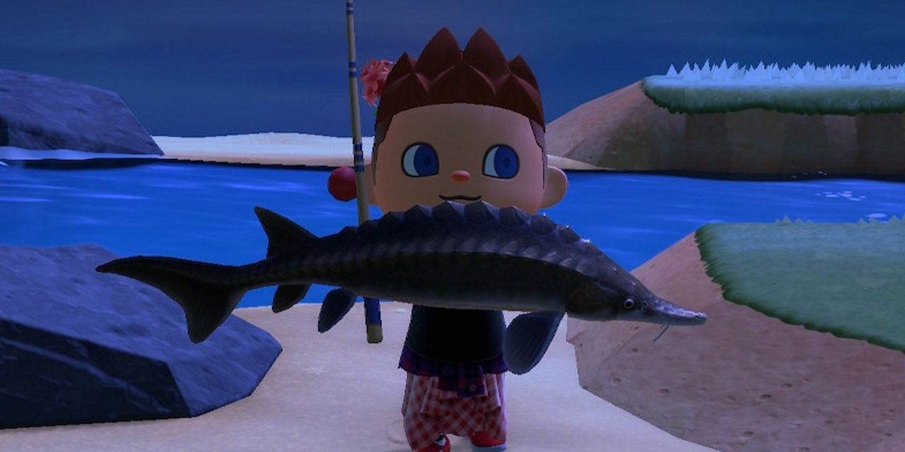 Animal Crossing: These Fish & Bugs Are Gone Now (But They'll Be Back)