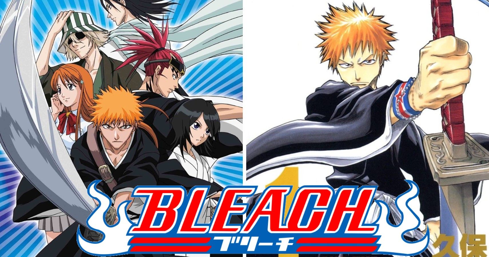 Why is the Bleach anime and manga called Bleach?