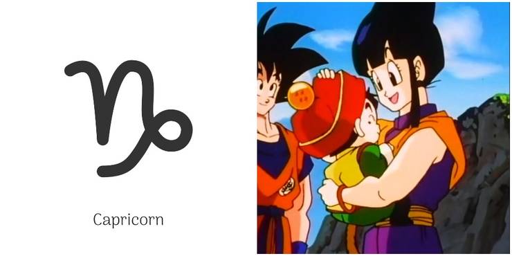 Which Dragon Ball Z Character Are You Based On Your Astrology Type