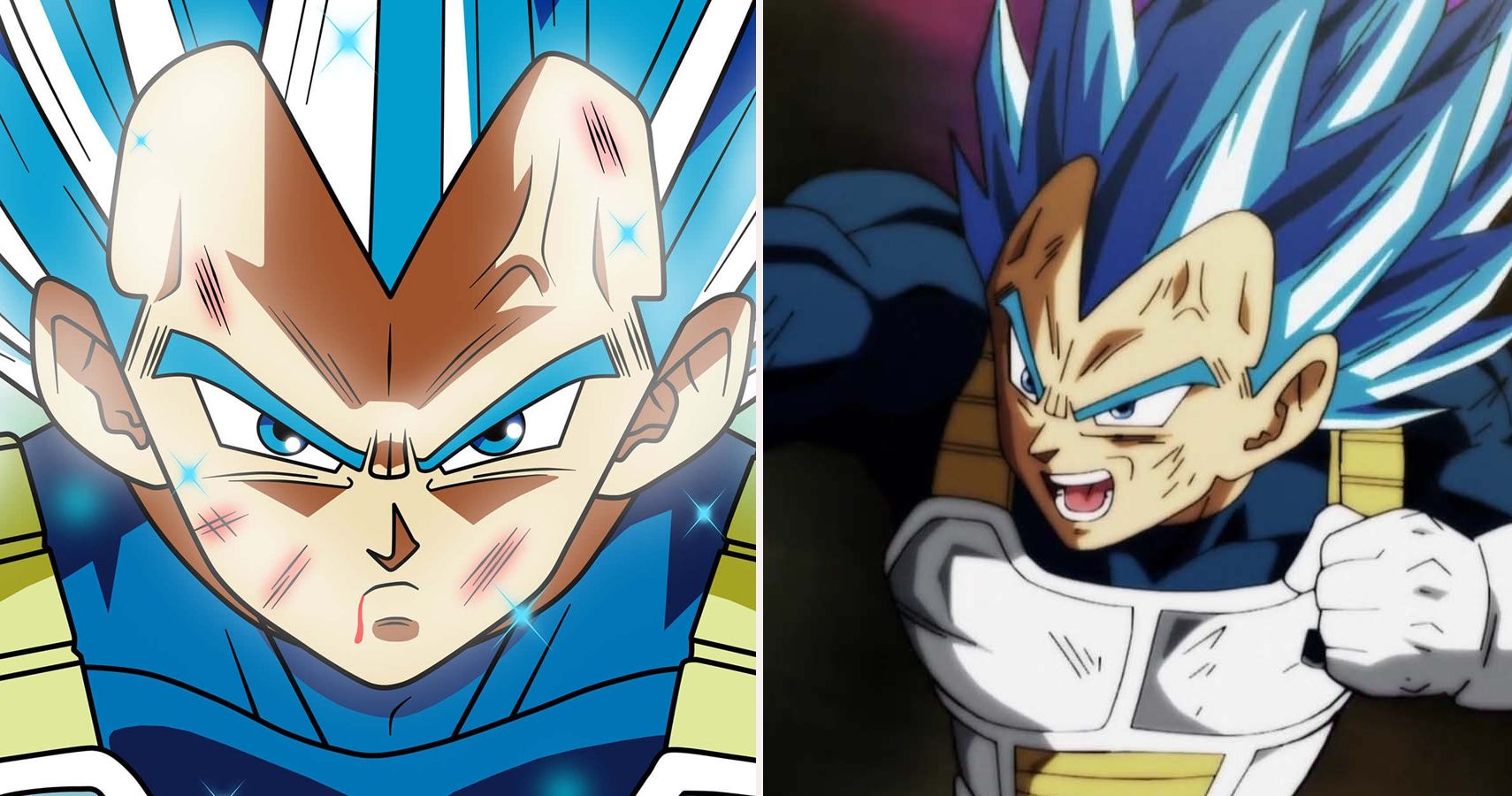 Vegeta ssj 5 (AF) vs vegeta ssj blue evolution (dbs)