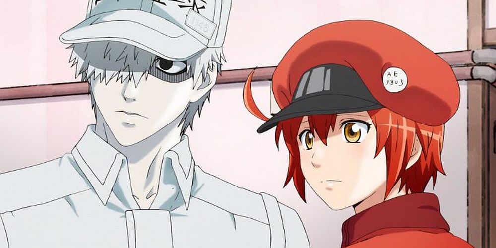 Duo Anime Cells at Work