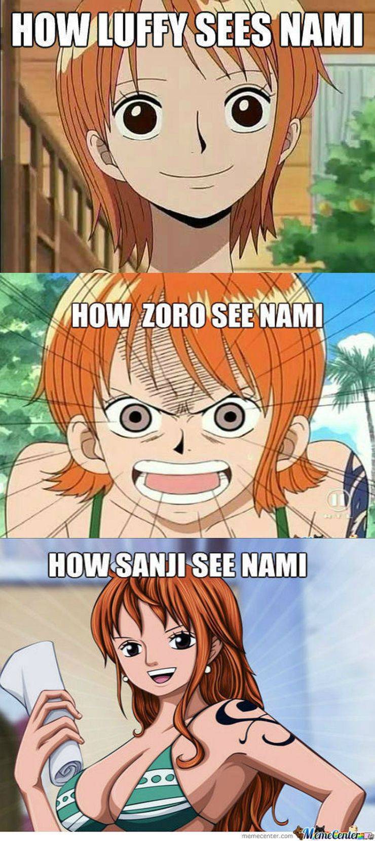 How-Everyone-Sees-Nami.jpg?q=50&fit=crop